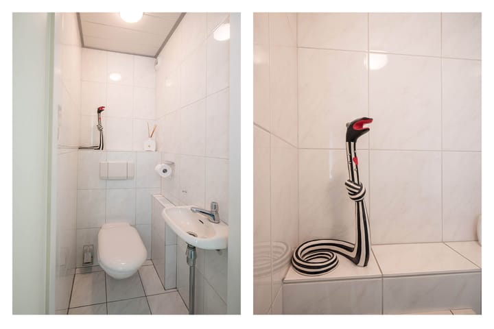 Foto 5 van Koraalzwam 119