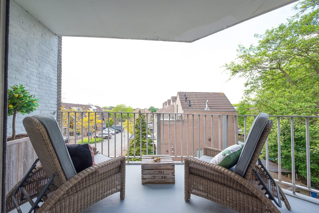 Foto 17 van Koraalzwam 119