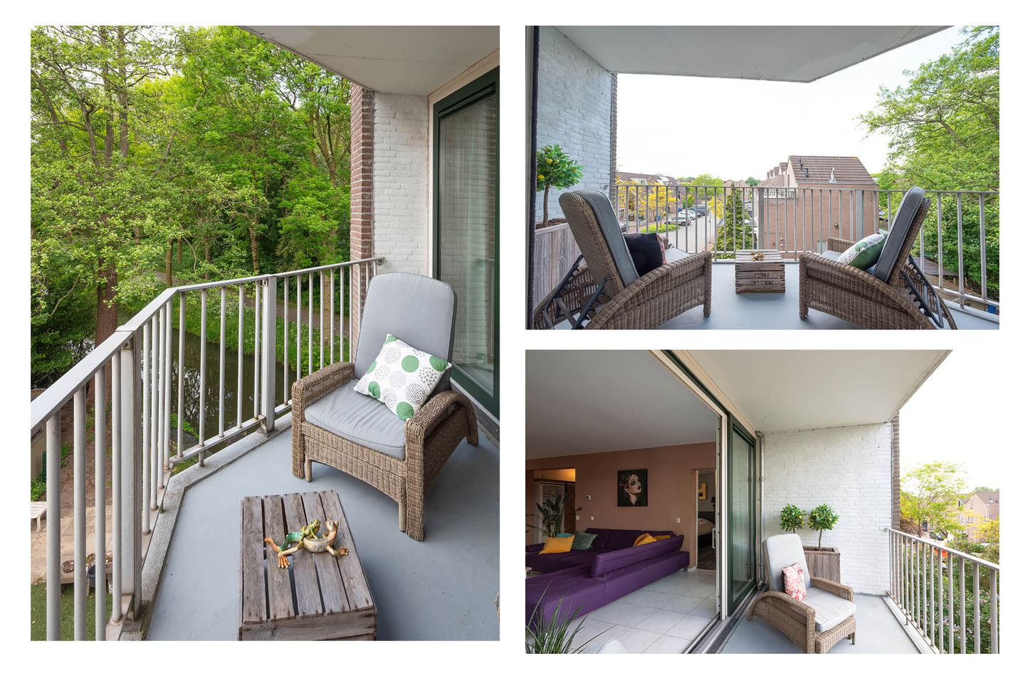 Foto 19 van Koraalzwam 119