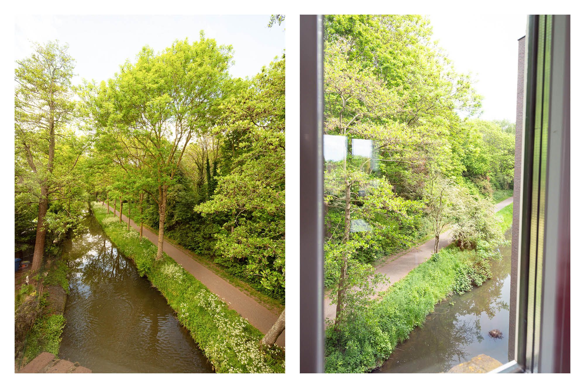 Foto 24 van Koraalzwam 119