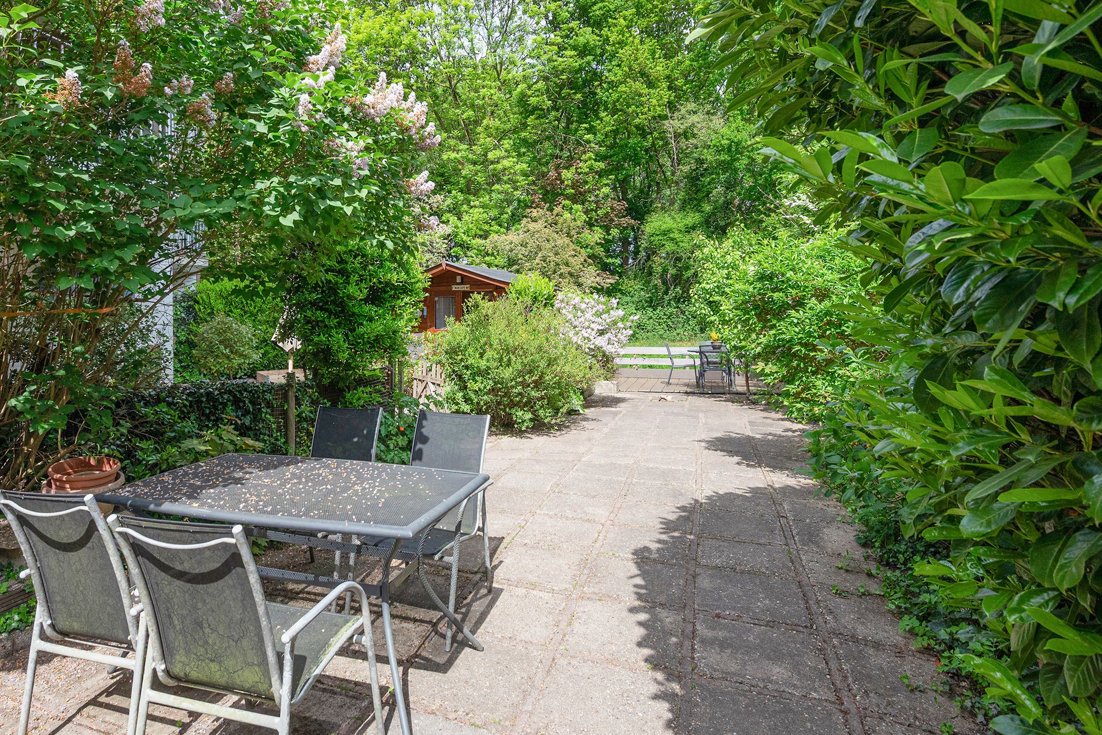 Foto 36 van Koraalzwam 119