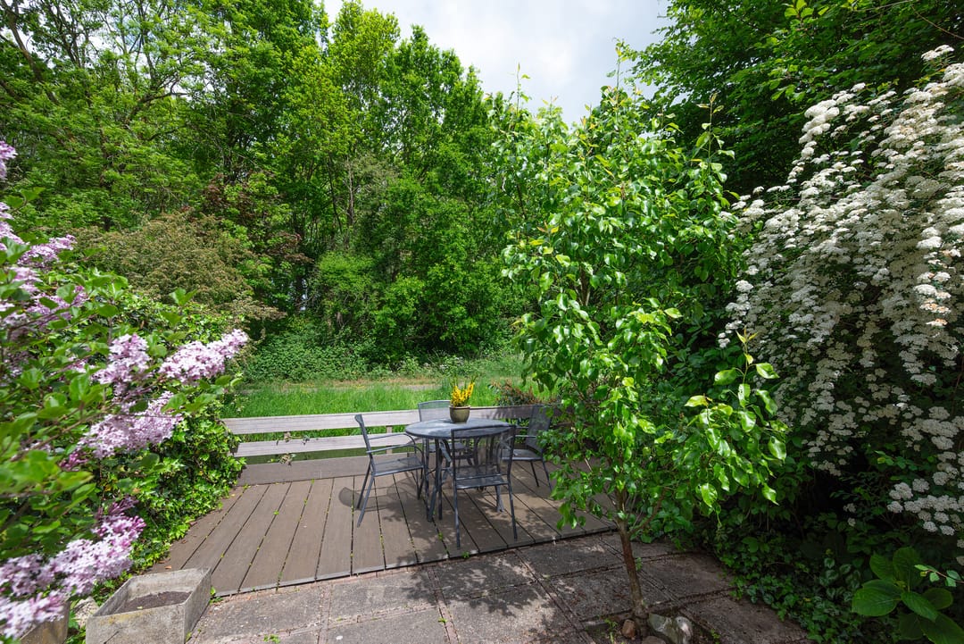 Foto 37 van Koraalzwam 119