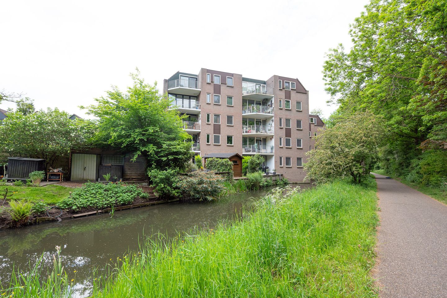 Foto 40 van Koraalzwam 119