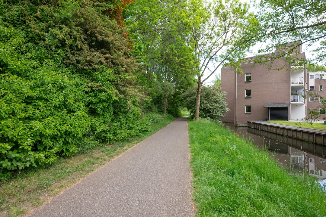 Foto 41 van Koraalzwam 119