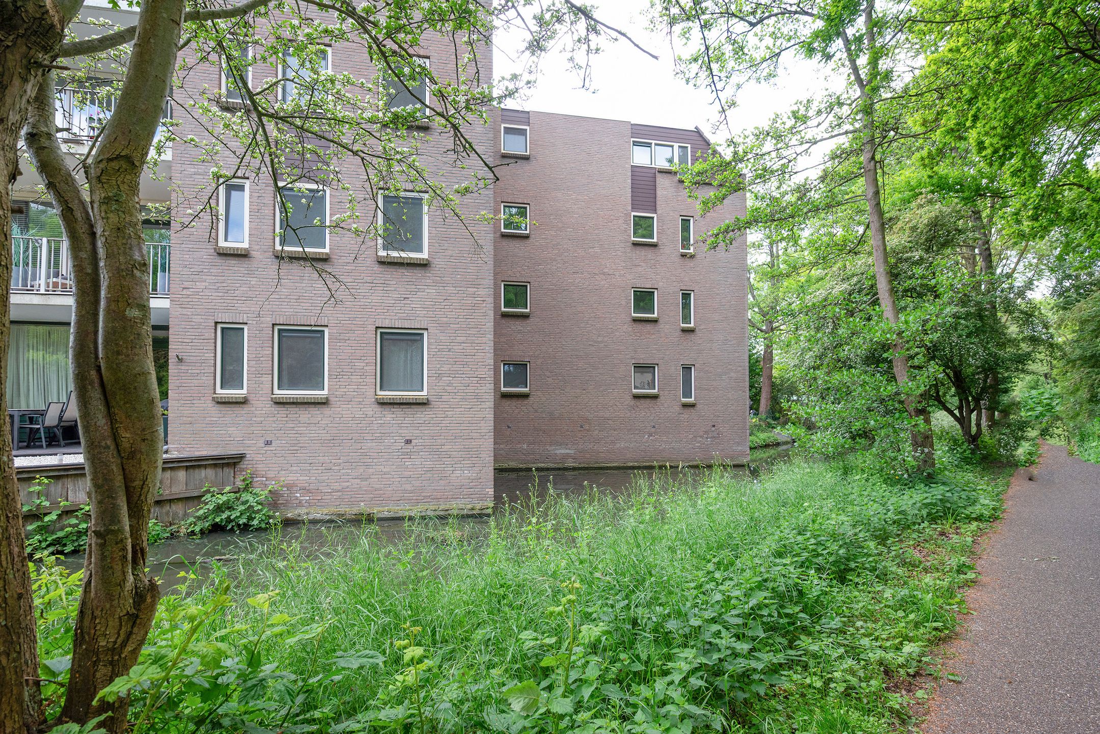 Foto 42 van Koraalzwam 119