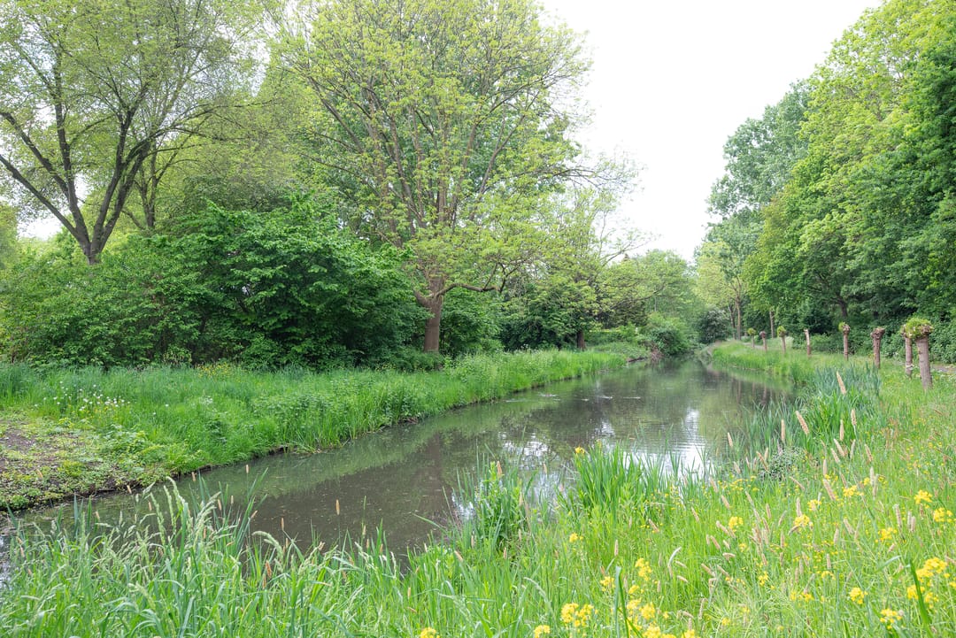 Foto 43 van Koraalzwam 119