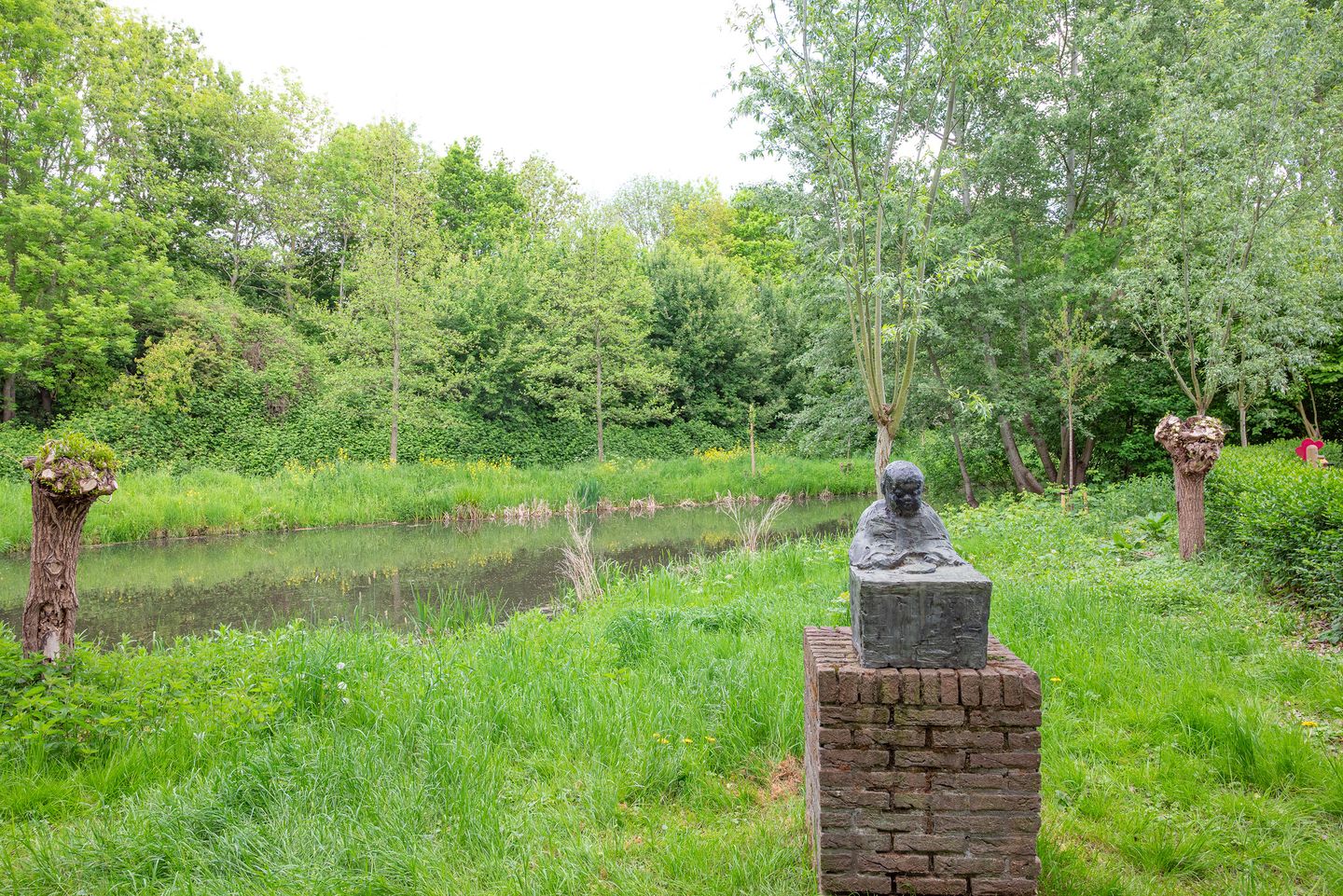 Foto 44 van Koraalzwam 119