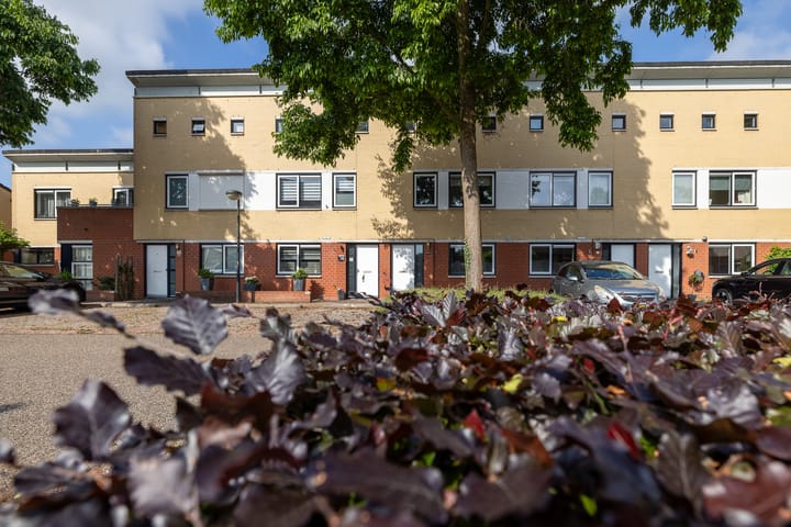 Foto 32 van Hof van Rome 93