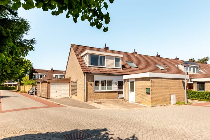 Foto 7 van Griend 37 7