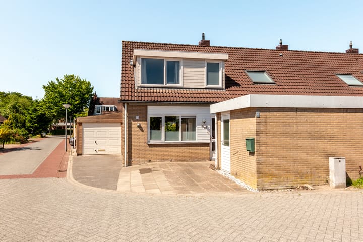 Foto 8 van Griend 37 7