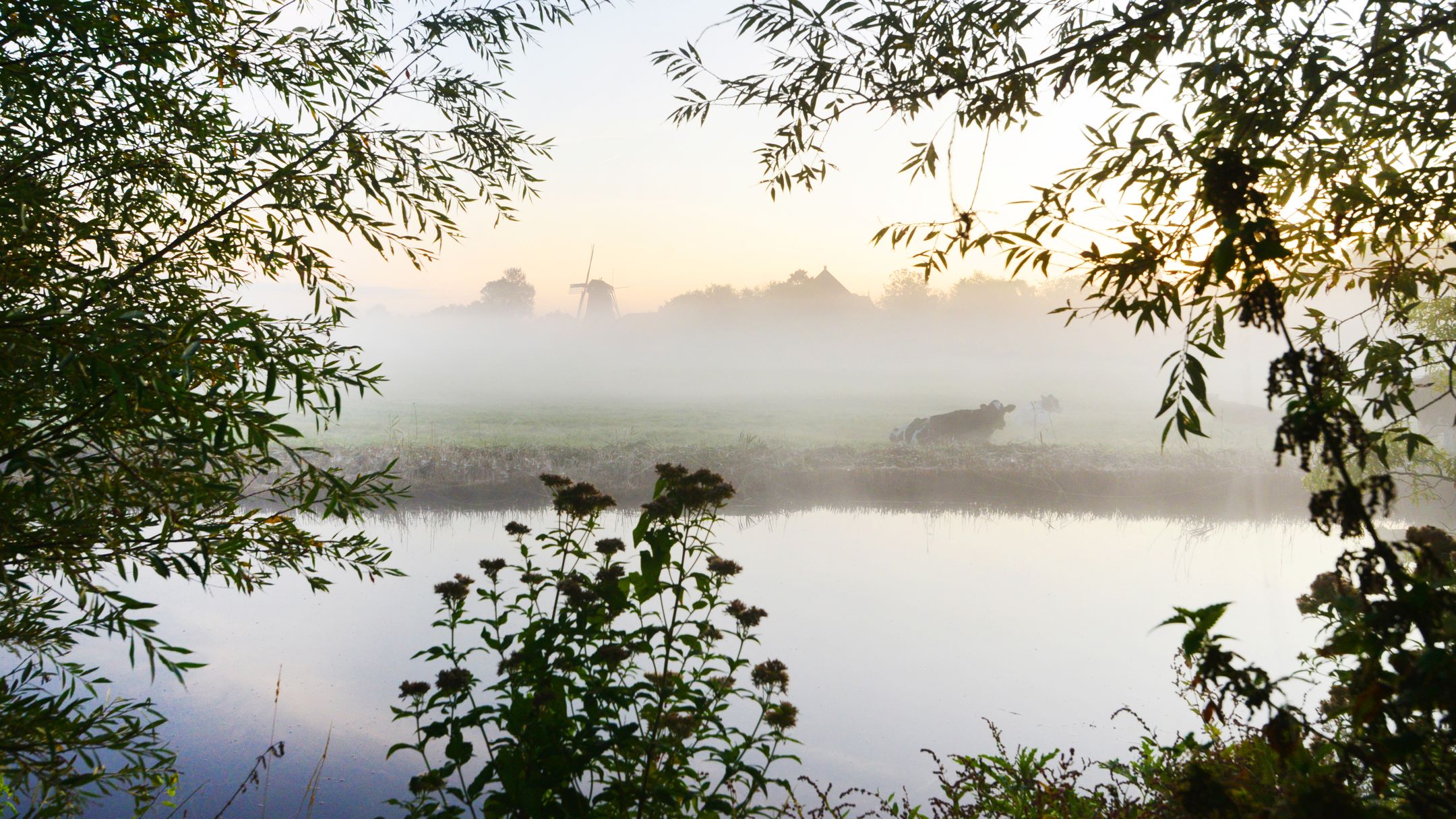 Foto 3 van Nauerna 17