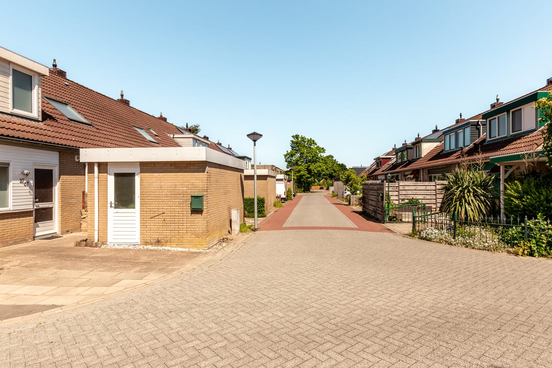 Foto 41 van Griend 37 7