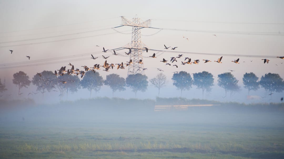 Foto 32 van Nauerna 17