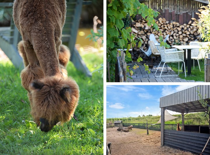 Photo 45 of Nauerna 17