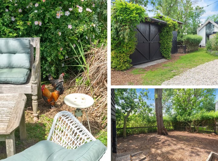 Photo 47 of Nauerna 17