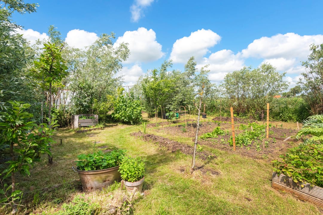 Foto 61 van Nauerna 17