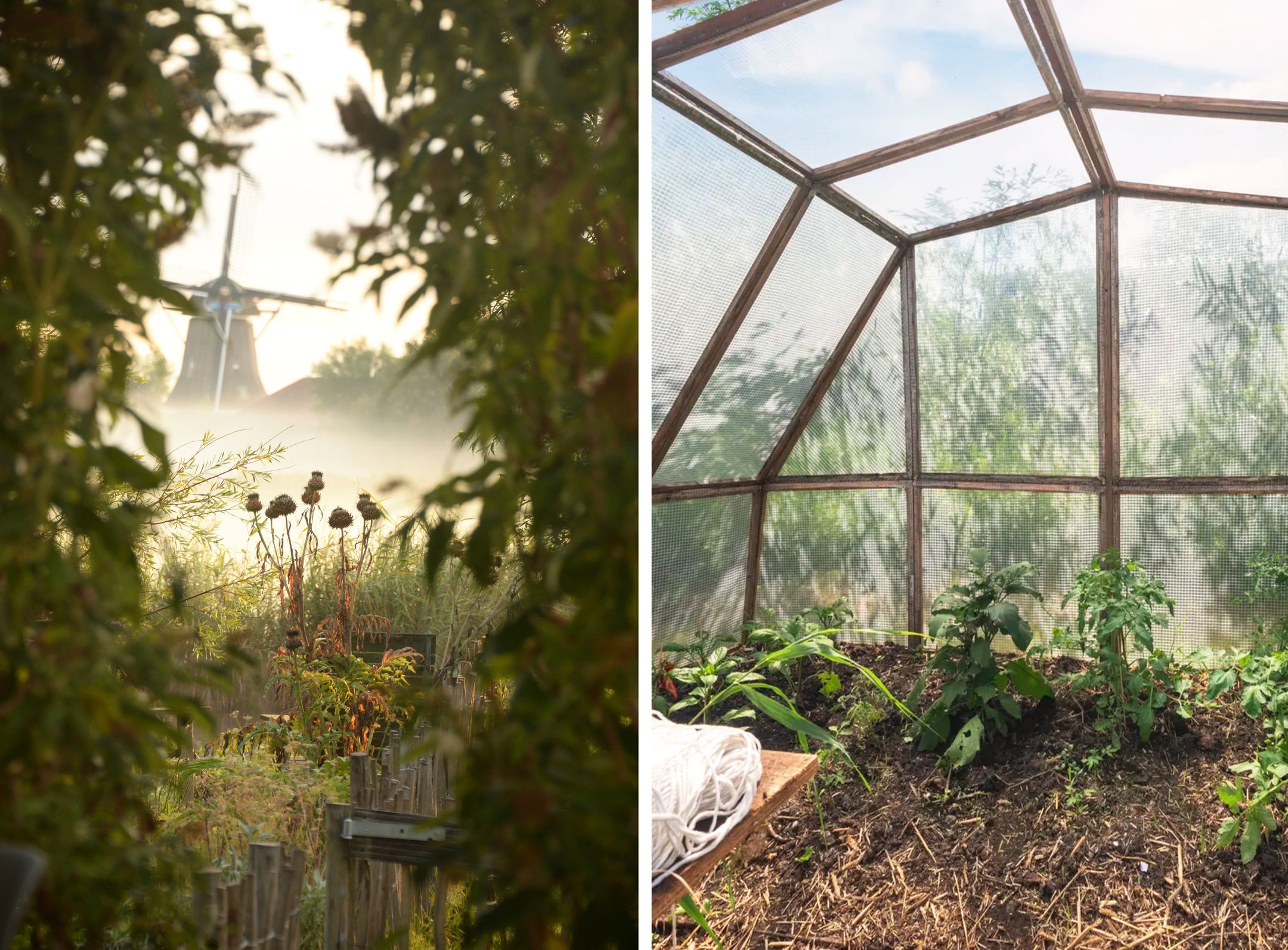 Foto 63 van Nauerna 17