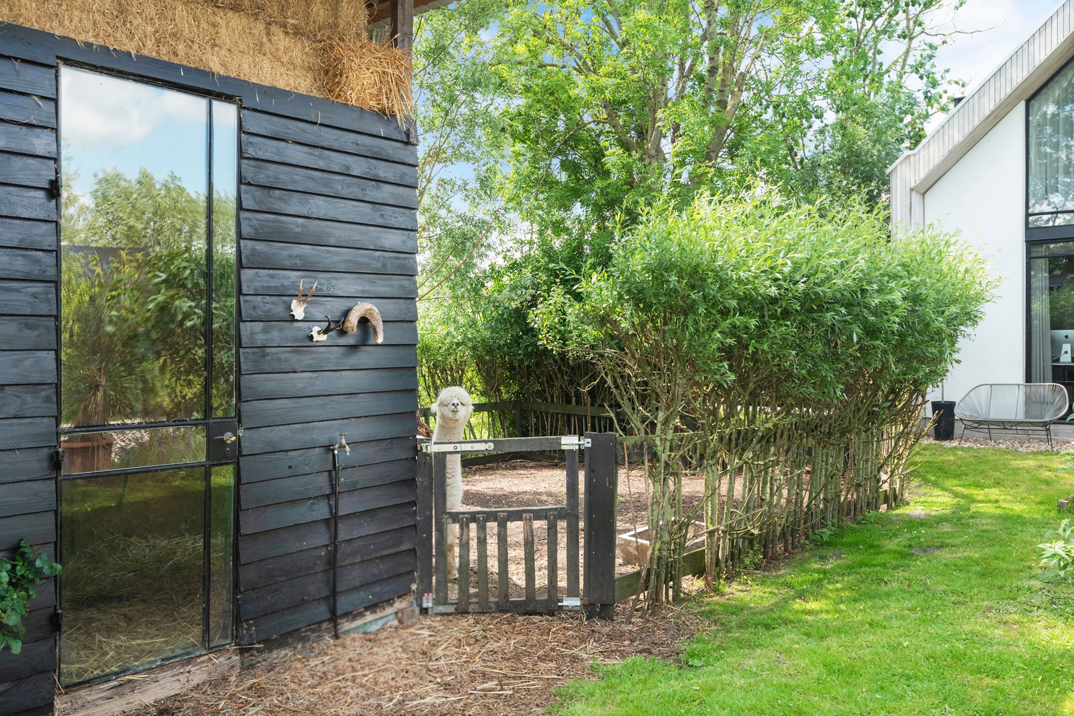 Foto 69 van Nauerna 17