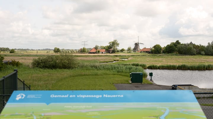 Photo 71 of Nauerna 17