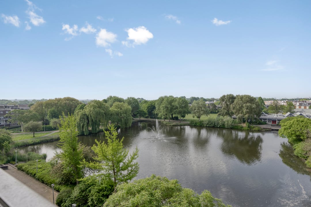 Foto 7 van Henry Moorepassage 210