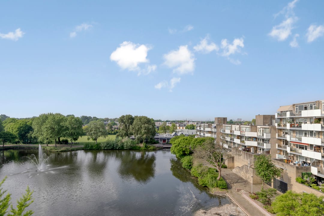 Foto 8 van Henry Moorepassage 210