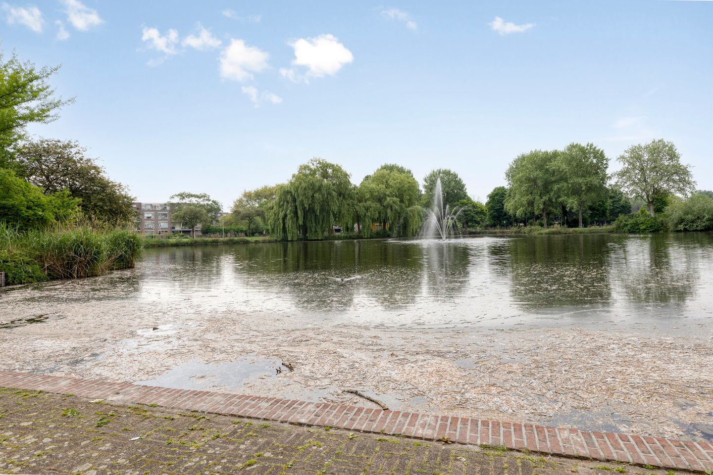 Foto 25 van Henry Moorepassage 210