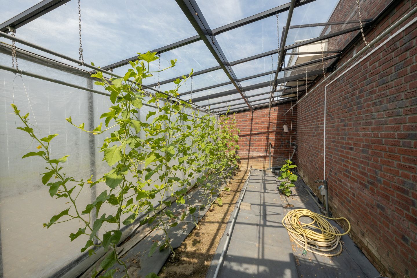 Photo 59 of Weideland 24