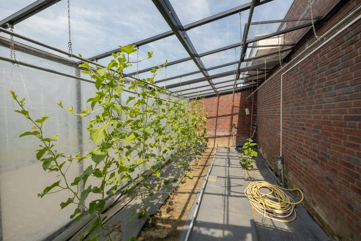 Foto 59 van Weideland 24