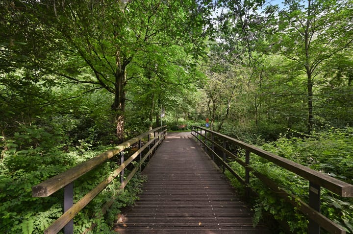 Foto 28 van Bezuidenhoutseweg 249-B