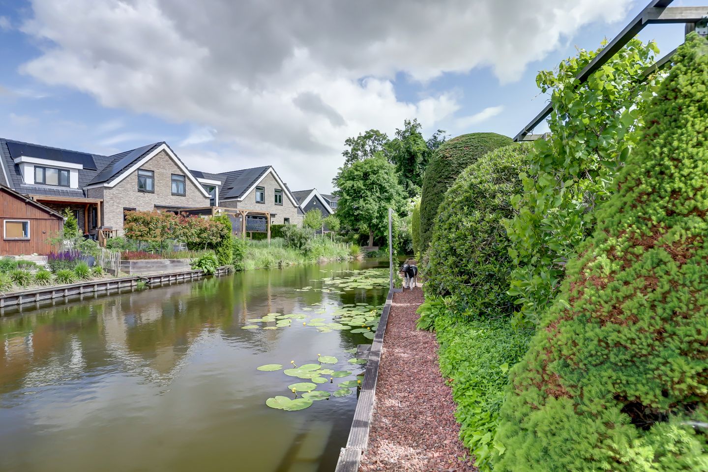 Photo 35 of Burgemeester Nieborgstraat 11