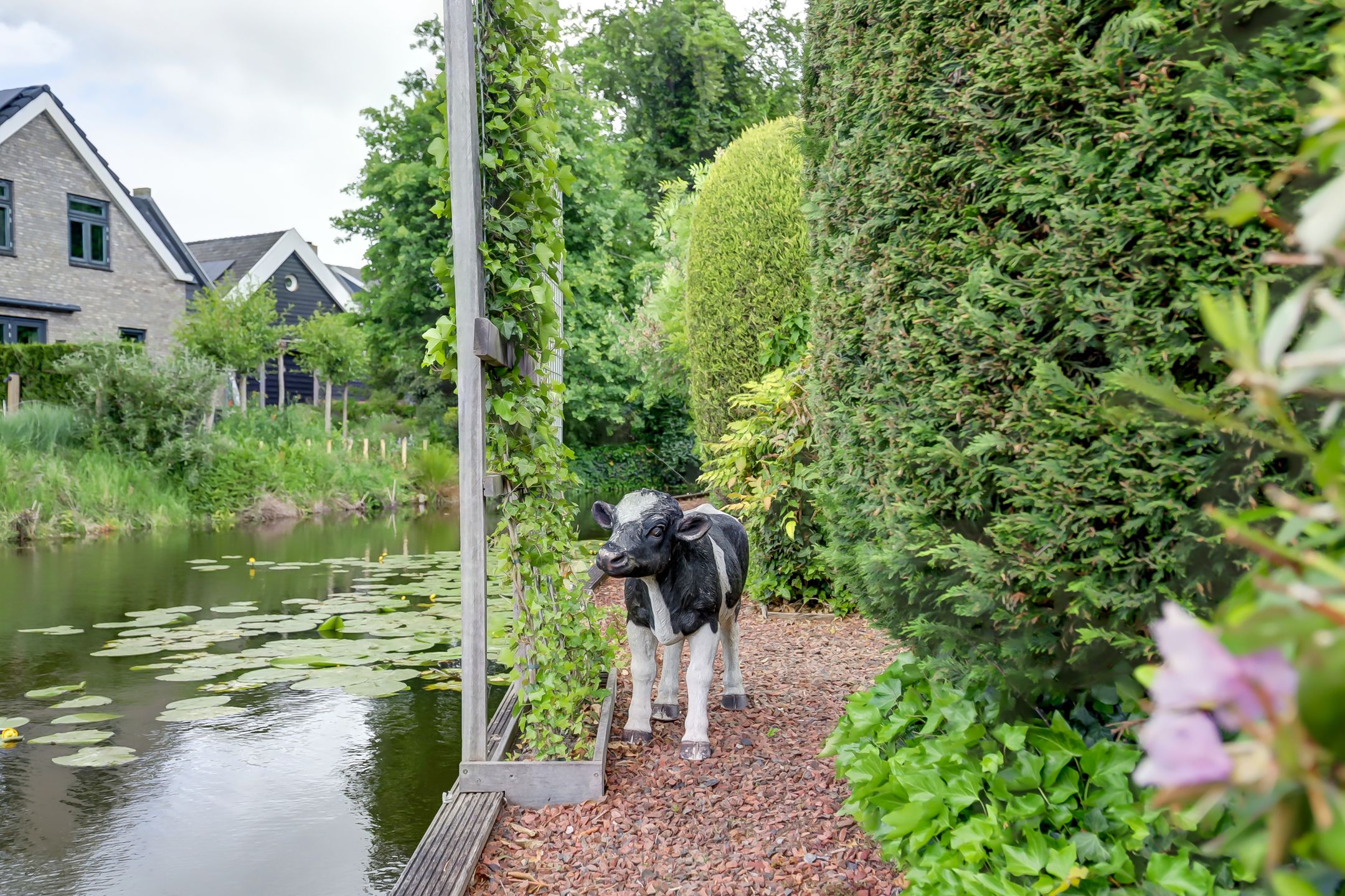 Photo 36 of Burgemeester Nieborgstraat 11