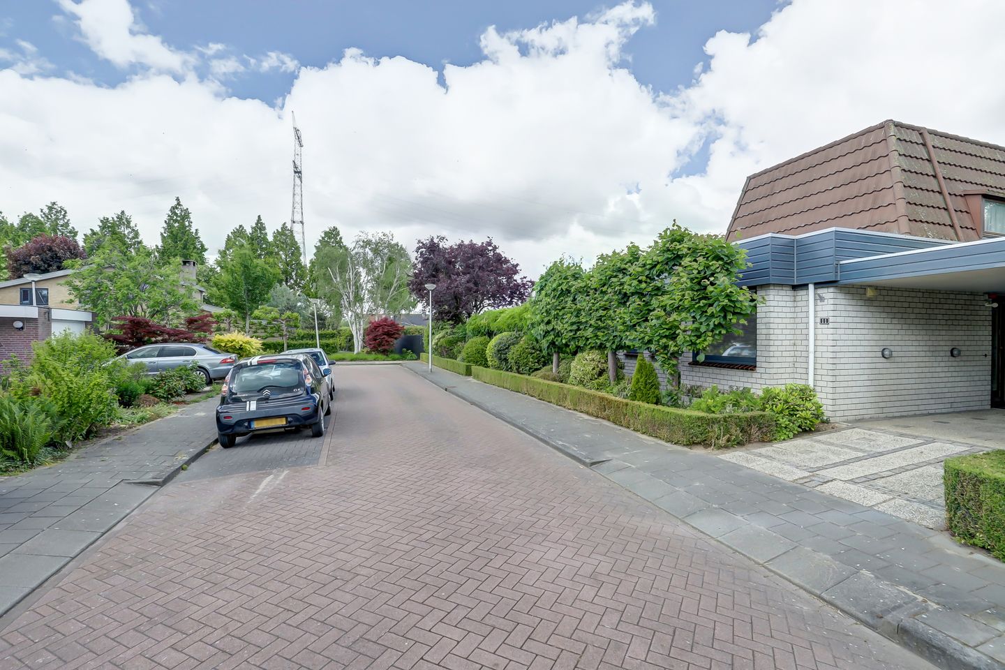 Photo 50 of Burgemeester Nieborgstraat 11