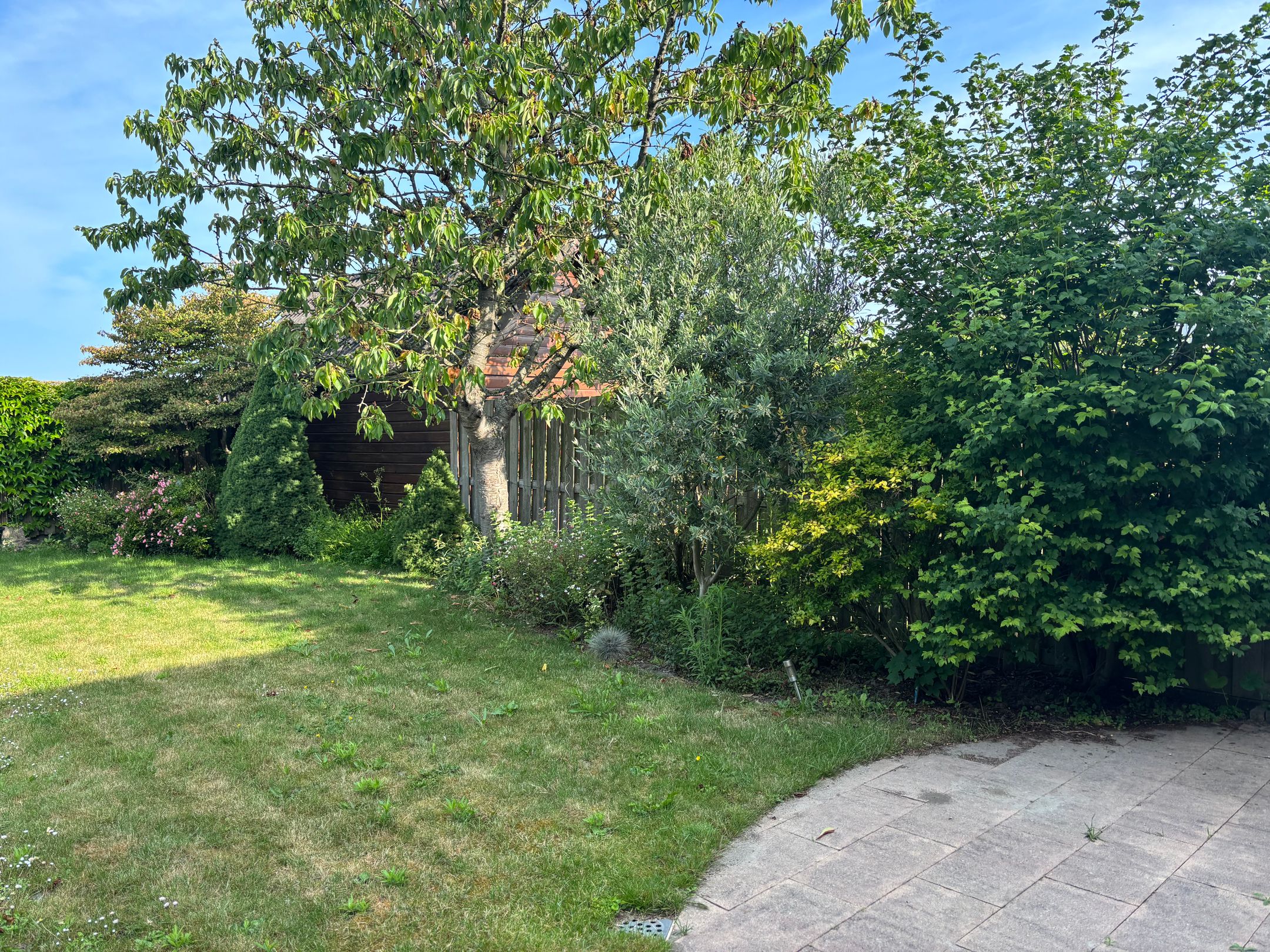 Foto 42 van Noordweg 29