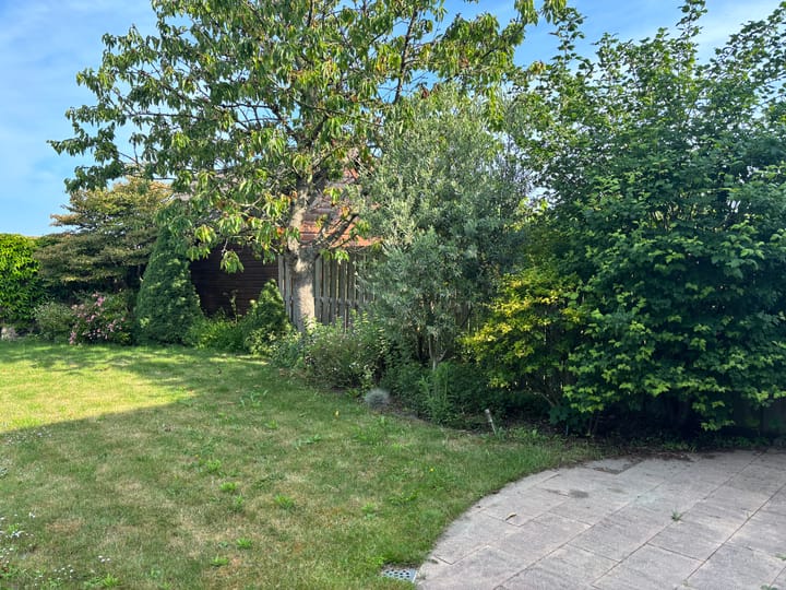 Photo 42 of Noordweg 29