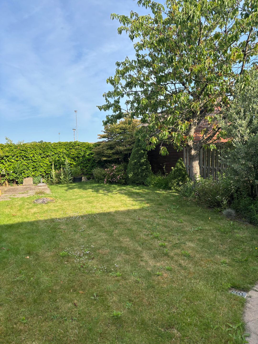 Foto 43 van Noordweg 29