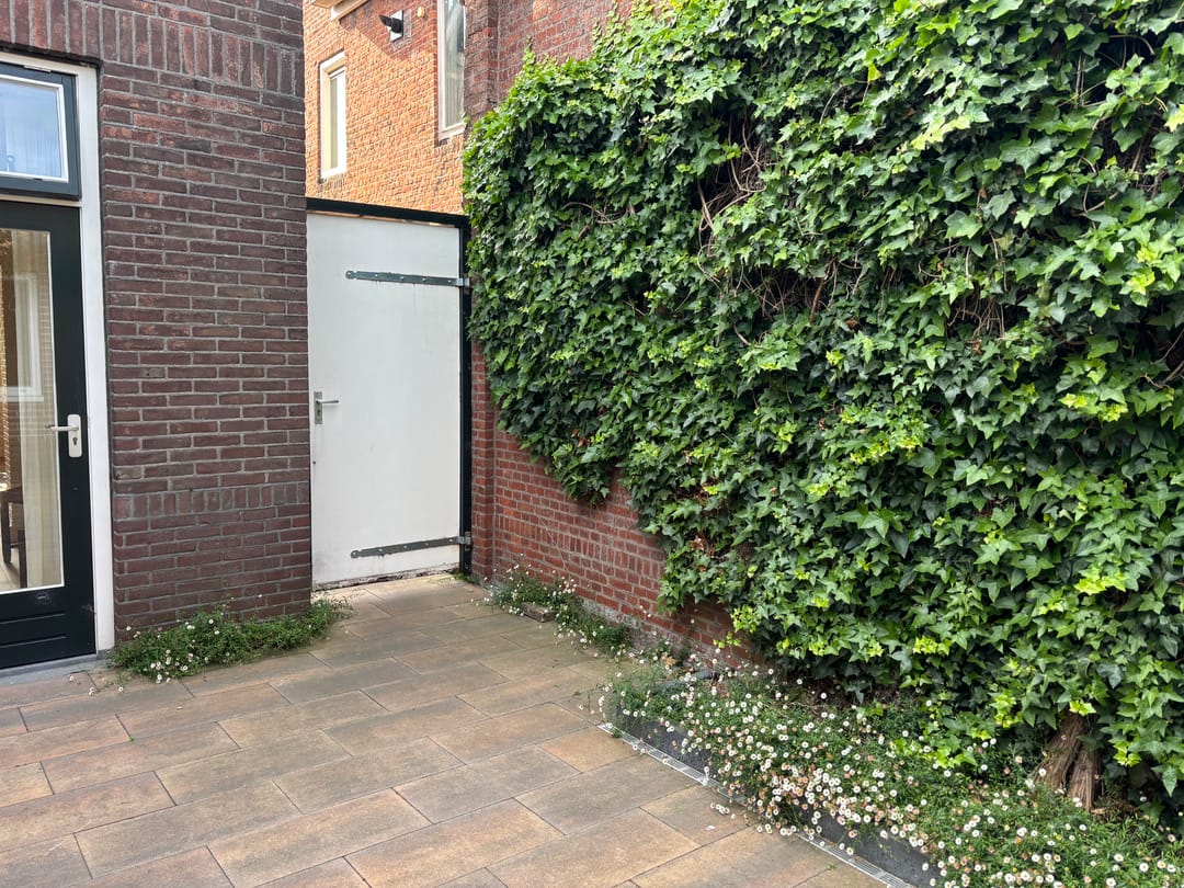 Foto 46 van Noordweg 29