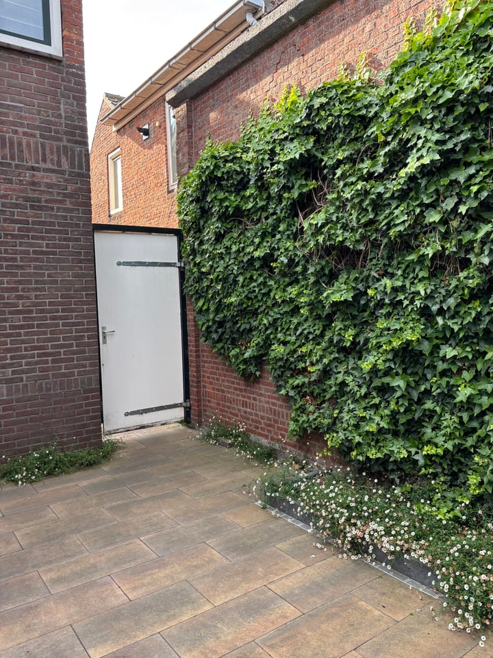 Photo 48 of Noordweg 29