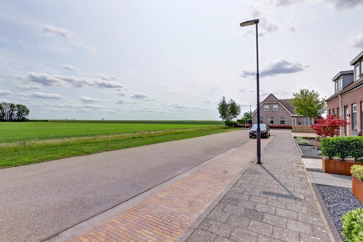 Foto 5 van Krooneend 6