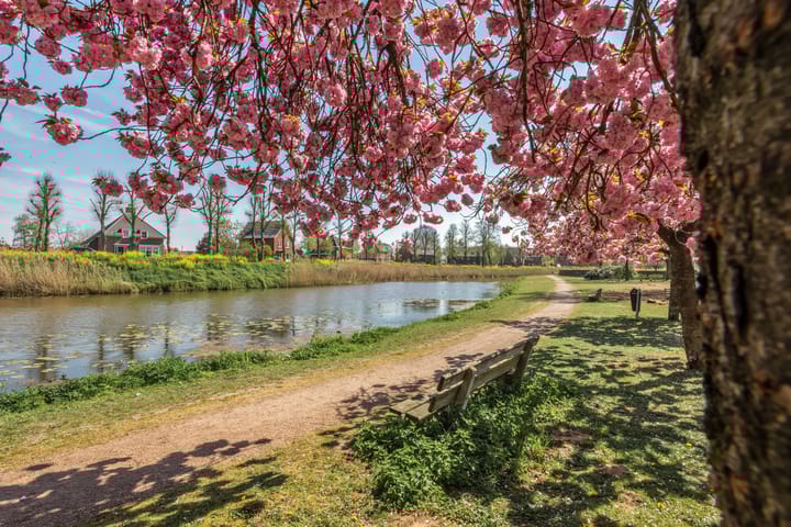 Foto 42 van G.W. Lovendaalsingel 20