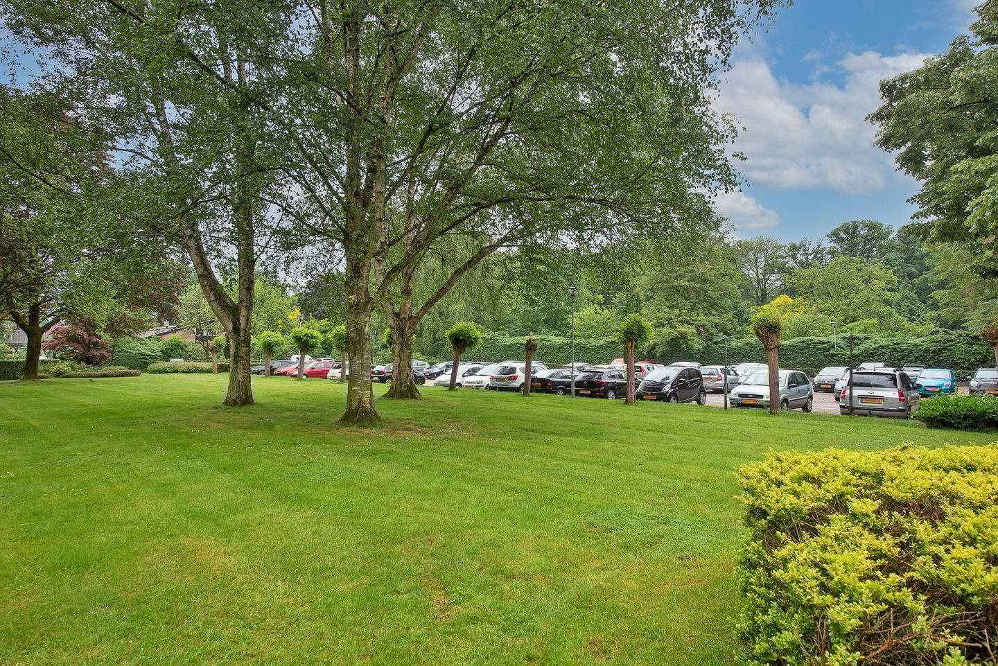 Foto 29 van de Wilmskamp 223