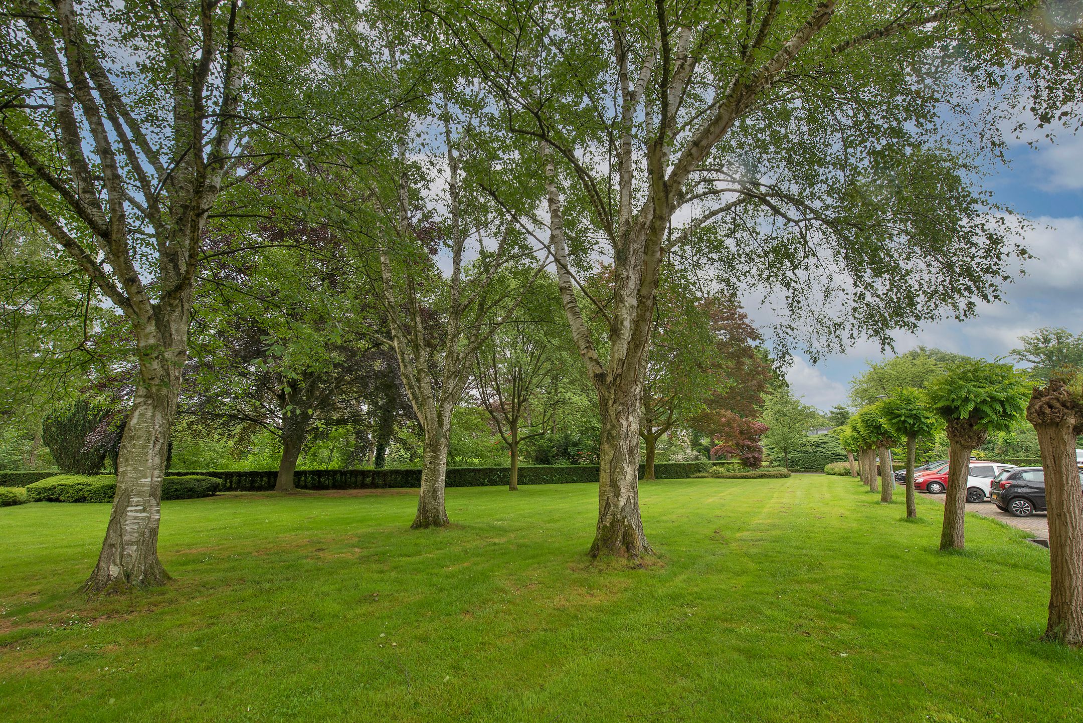 Foto 30 van de Wilmskamp 223