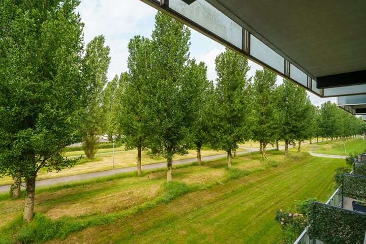 Foto 28 van Paul Kleestraat 134