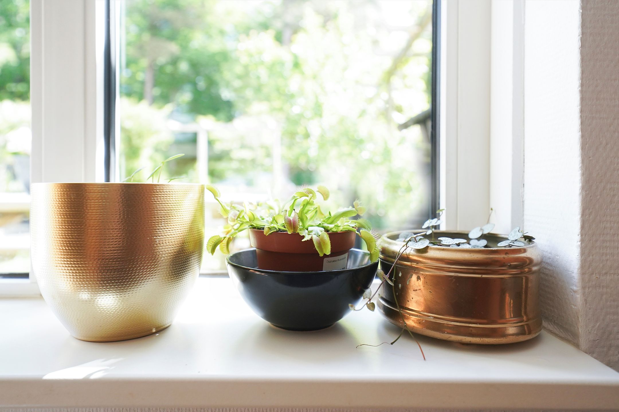 Foto 12 van Schoolweg 52