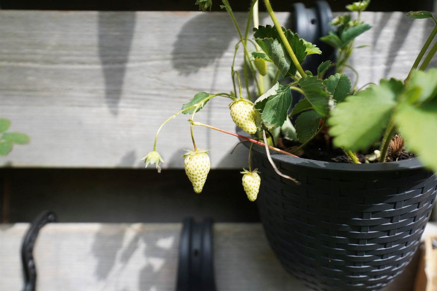 Foto 35 van Schoolweg 52