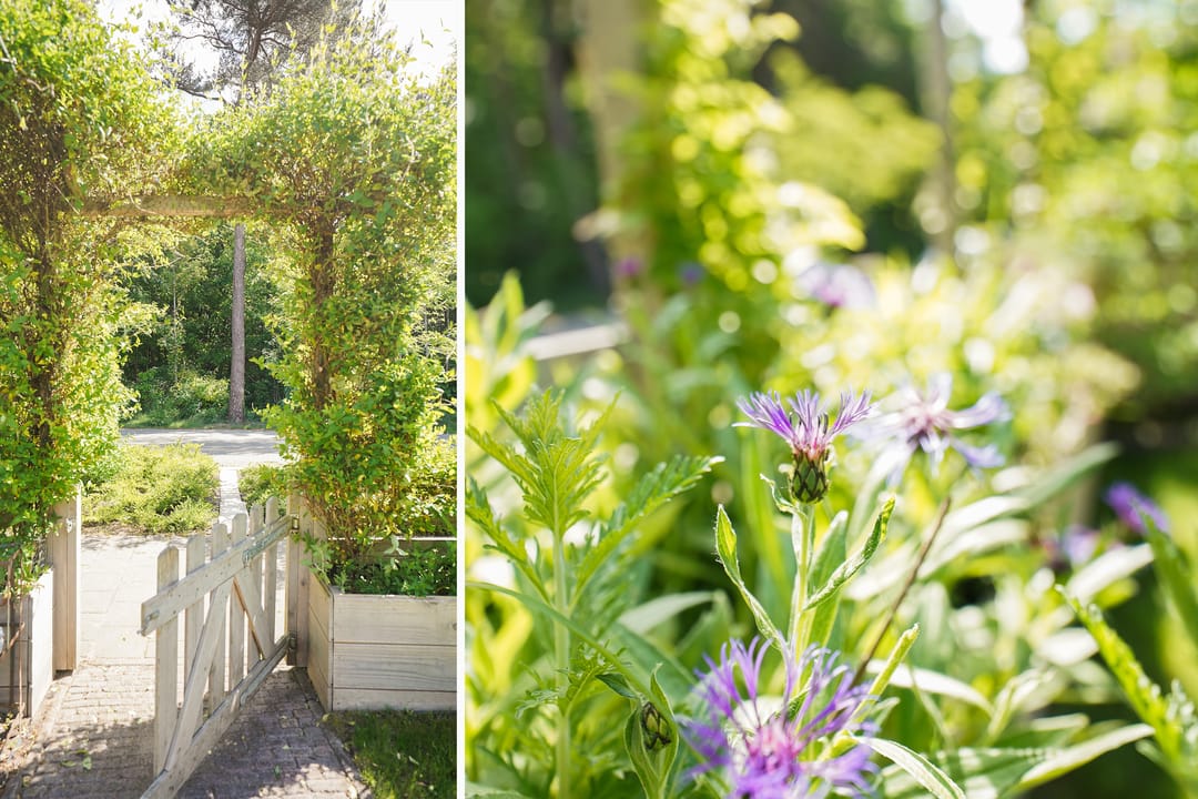 Foto 38 van Schoolweg 52