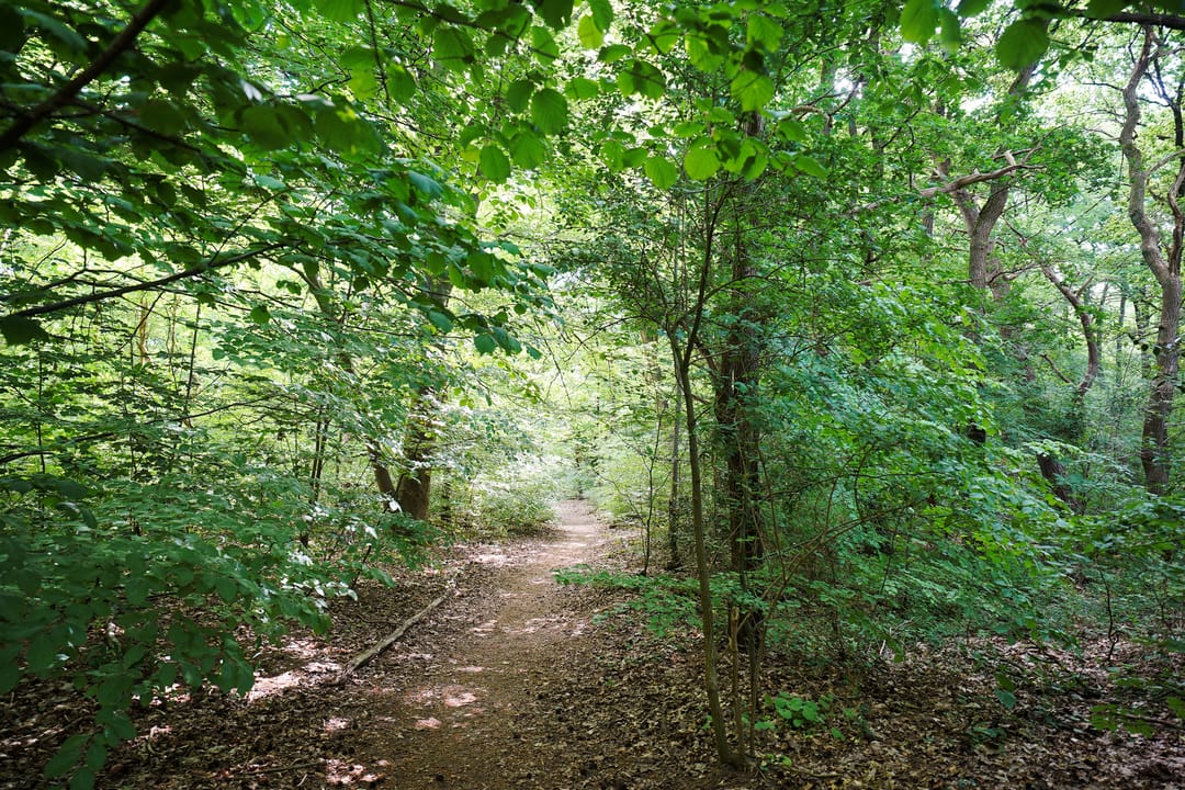 Foto 41 van Schoolweg 52