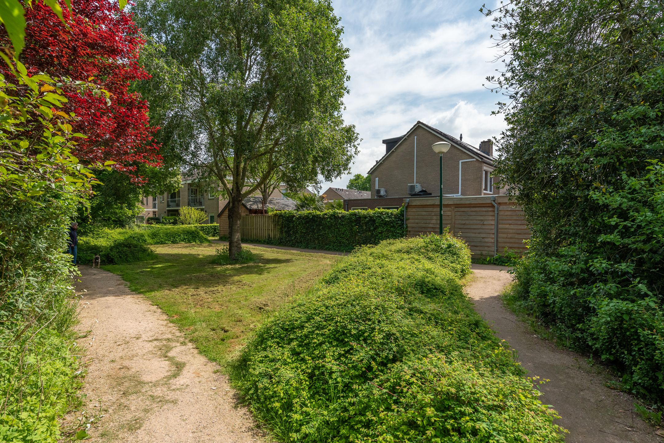 Foto 54 van Bruinhorst 11