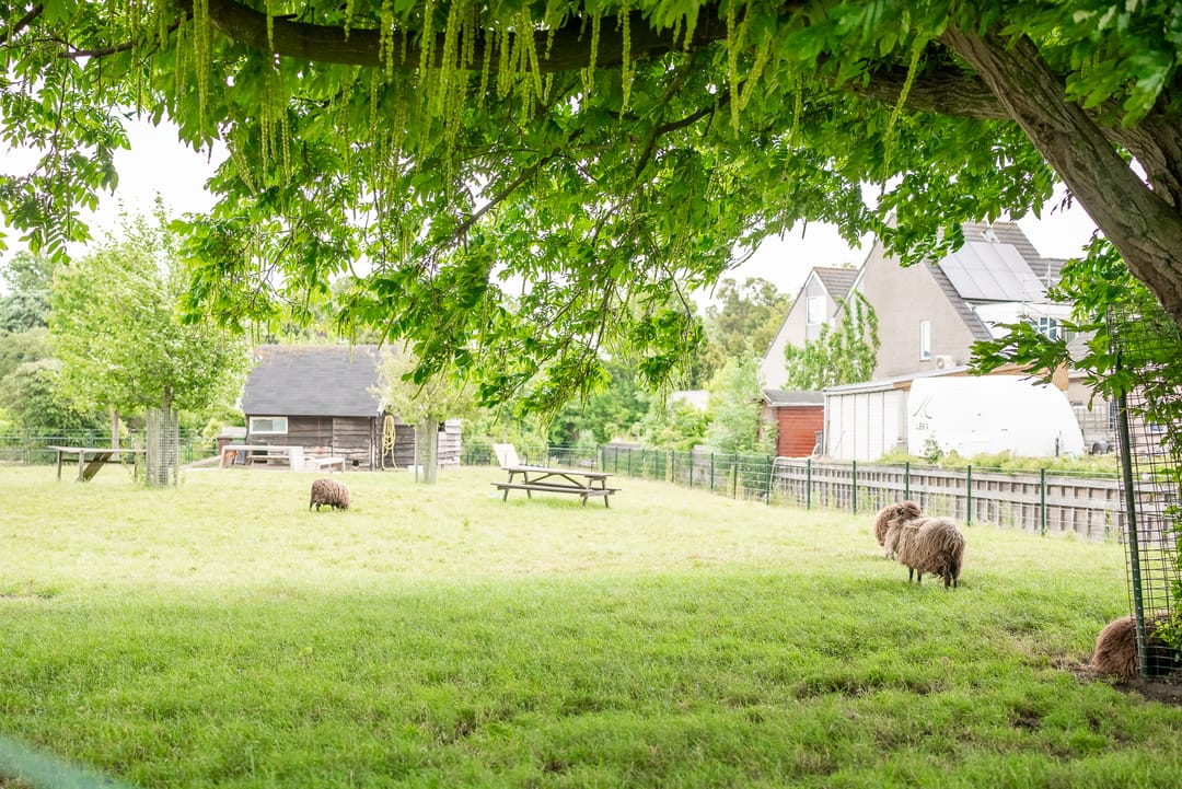 Photo 62 of Park Ypenburg 8