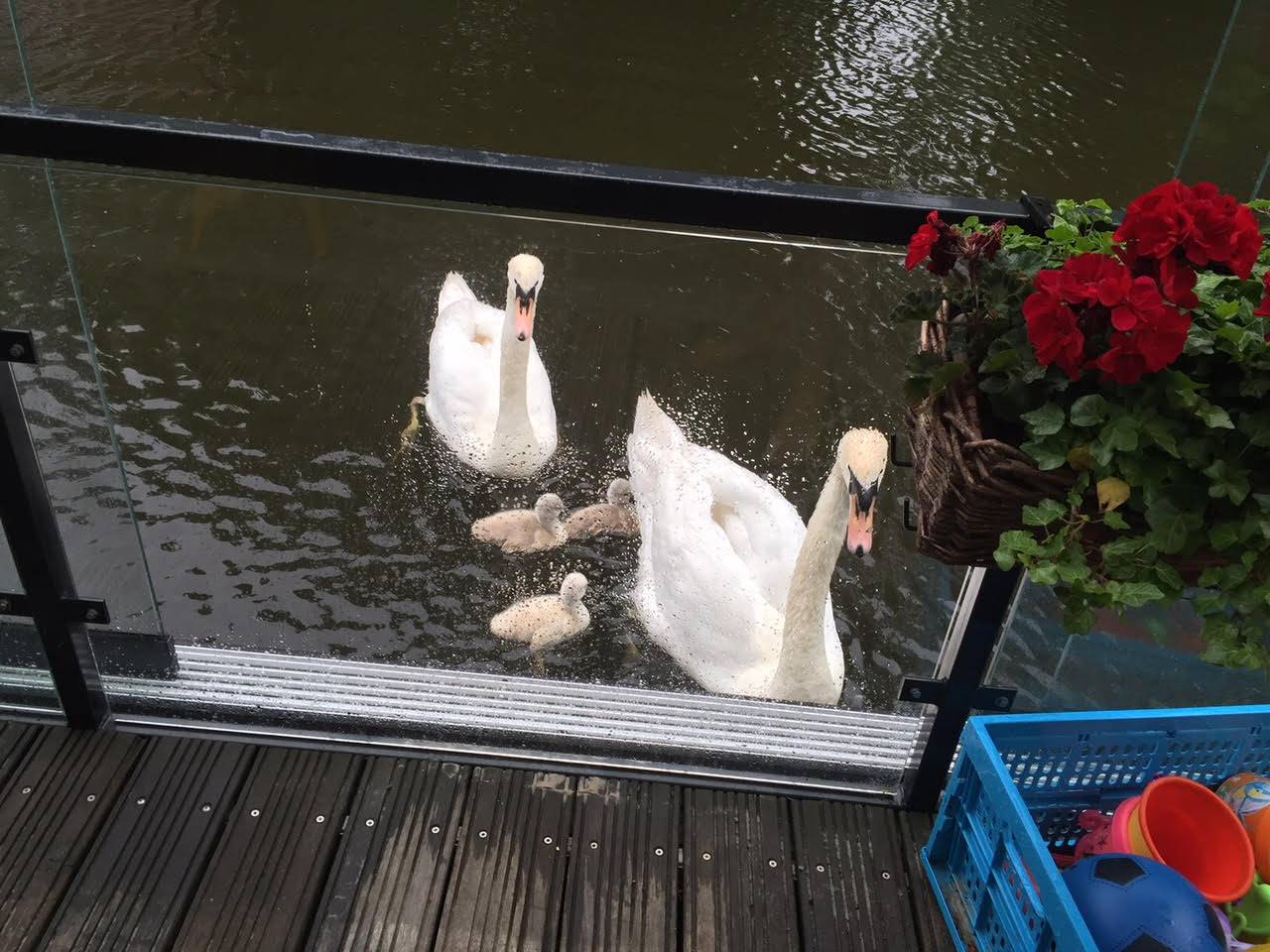 Foto 14 van Hugo de Grootkade 84-W