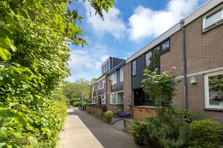 Foto 6 van Prunus 30